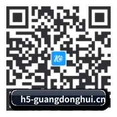 iOS 苹果版 二维码